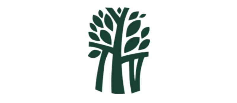 Banyan Tree